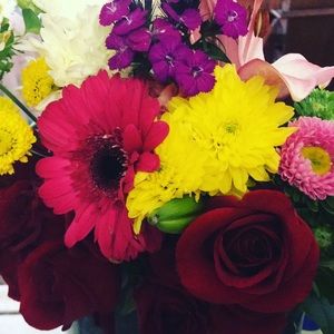 Les belles fleurs 💐